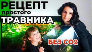 Рецепт простого в содержании аквариума травника без подачи СО2. Питание растений.
