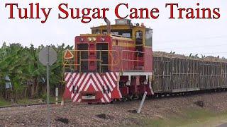Tully Sugar Narrow Gauge Cane Trains 2 Ft Gauge Diesel Locos North Queensland Railway Australia