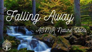 ASMR   Falling Away Nature Water Sounds