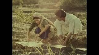 Current - Full Movie staring Om Puri & Deepti Naval directed by K. Hariharan.