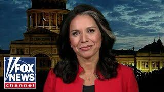 Tulsi Gabbard Trump will expose the truth about Harris