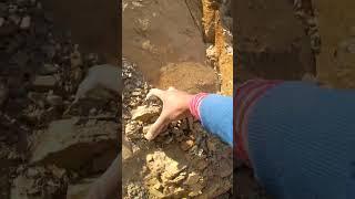 ball clay in mines kolayat bikaner