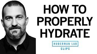How to Properly Hydrate & How Much Water to Drink Each Day  Dr. Andrew Huberman