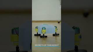 A Cute Robot from Lesics Engineers  Tri-Rad Robot