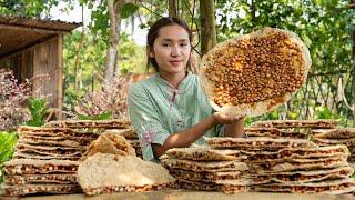 Making DELICIOUS PEANUT CANDY Harvesting MANGOES...Goes To The Market Sell -Making garden  Cooking