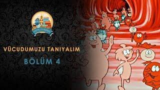 Vücudumuzu Tanıyalım - Türkçe Dublaj - Bölüm 4