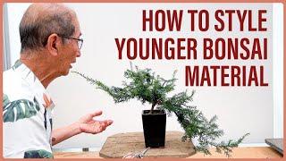 How to Style Younger Bonsai Material