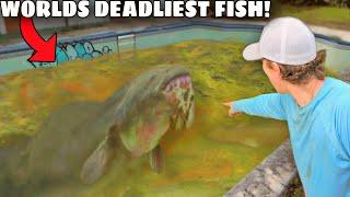 I Caught The Worlds DEADLIEST Fish in an Abandoned Pool