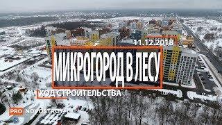 ЖК Микрогород в лесу Ход строительства от 11.12.2018