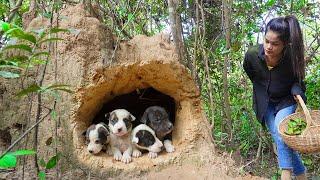 Primitive Girl Found 4 Baby Dogs Nest Underground Hole & Give Food
