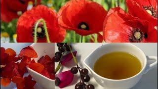 Poppy Flower Cuts All Pain Like A Knife My Aunts RECIPE OF PAIN RELIEF POWDER OIL