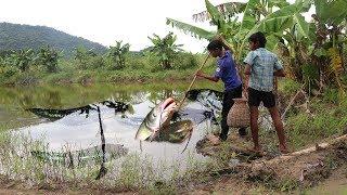 Two Boys Fishing Using Bamboo Spearfishing Catch Big Fish - How To Fishing With Bamboo Khmer