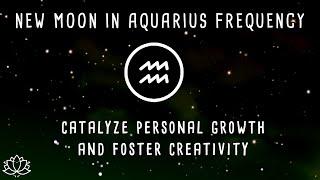  NEW MOON IN AQUARIUS FEB 9 2024  New Moon Meditation  New Moon February 9th 2024