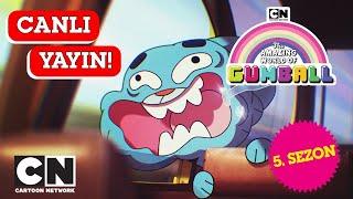 CANLI  GUMBALL  5. Sezon Tüm Bölümler  Cartoon Network Türkiye