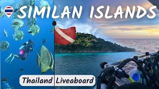 Liveaboard Vlog 3 Days and 3 Nights in the Similan Islands