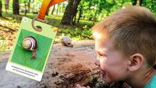 Ravensburger Natur Entdecker  Lernspiel  Erklärfilm