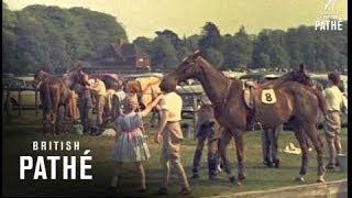 Duke Plays Polo And Princess Anne Helps Groom Horses 1959