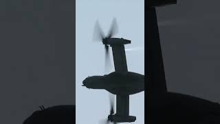 Exercise Pitch Black 24  Mindil Beach Flying Display #Shorts