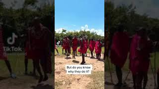 The Famous Tribe With The Highest Jumping Skills  #shorts #maasai #jumping