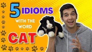 Improve Your English Vocabulary Cat Idioms