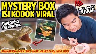 UNBOXING MYSTERY BOX BUDGETT FROG THE SCREAMING FROG