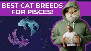 BEST CAT BREEDS FOR PISCES