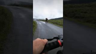 Gurkhas training in the Brecon Beacons seen while riding across Wales on The the lon las cymru