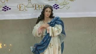 Misa Día de todos los Santos en la capilla Inmaculada Concepción