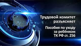 Пособие по уходу за ребёнком. Разъясняем.