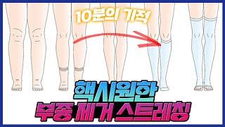 15분후면 다리 붓기가 쫘악 골반과 고관절에 파스 붙인듯한 소름 돋는 스트레칭