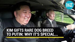 After Putin Gifts Kim Jong Un Presents Revealed In Exchange For Russian Rolls-Royce He Gives...