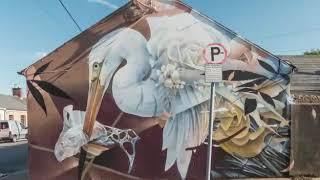 Waterford Walls Street Art Festival - HYPERLAPSE footage from Wonder Walls documentary.