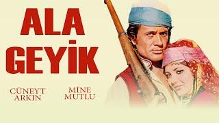 Ala Geyik Türk Filmi  FULL  CÜNEYT ARKIN  MİNE MUTLU