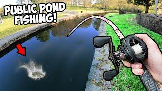 Fishing the WORST PUBLIC PONDS in My City Can I Catch Anything?