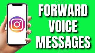 How To Forward Voice Messages On Instagram Easy