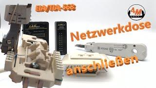 Netzwerkdose anschließen  auflegen LSA PLUS Kabel Tester CAT 5 & CAT 7 EIATIA-568 - 4M