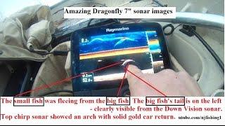 Raymarine Dragonfly 7 sonar fish images explained 3 of 3