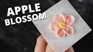 How to pipe apple blossom  Cake Decorating For Beginners 