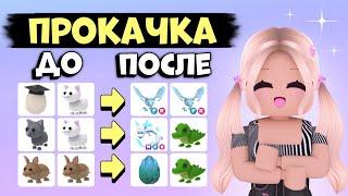 КАК ПРОКАЧАТЬСЯ В АДОПТ МИ С НУЛЯ? ОТ НУБА ДО ПРО  Adopt me Roblox