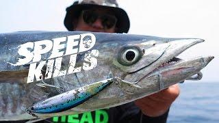 SPEED KILLS - MACKERALS ON THE PINTAIL