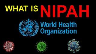 What is Nipah Virus?  Past OutbreaksTransmissionSigns & symptomsTreatment  Prevention  WHONiV