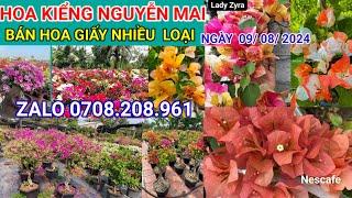 NGÀY  0408 BÁN NHIỀU LOẠI HOA GIẤY GHÉP NHIỀU MÀU_️0708.208.961 _ KIỂNG LÁ - BAO SHIP TOÀN QUỐC