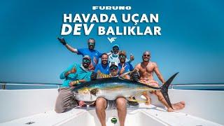 Havada Uçan Dev Balıklar  I  Furuno Team Türkiye