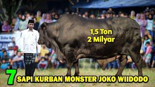 SAPI KURBAN PRESIDEN JOKOWI PECAH REKOR? Inilah 7 Sumbangan Sapi Kurban Jumbo & Mahal Presiden 2024