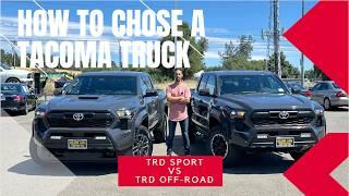 TRD Sport or TRD off-road? 2024 Toyota Tacoma