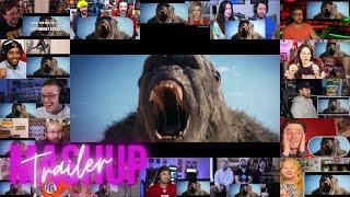 Godzilla x Kong  The New Empire - Trailer Reaction Mashup 