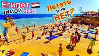 Египет ЗИМОЙ 2024  СТОИТ ли ЕХАТЬ отдыхать в Декабре Январе и Феврале? ЦЕНЫ на туры на ДНЕ️