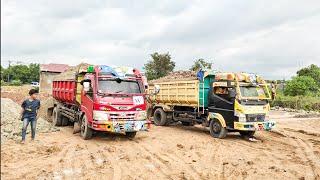 MOBIL DAM TRUK DYNA DAN CANTER BONGKAR MUATAN TANAH TIMBUNAN