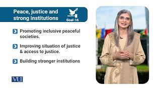 Goal 16 - Peace Justice and Strong Institutions  Social Entrepreneurship  SOC617_Topic031