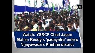 Watch YSRCP Chief Jagan Mohan Reddy’s padayatra enters Vijayawada’s Krishna district - ANI News